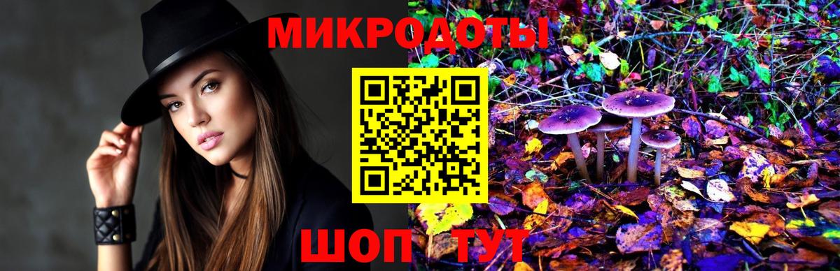 Псилоцибиновые грибы Cubensis Георгиевск