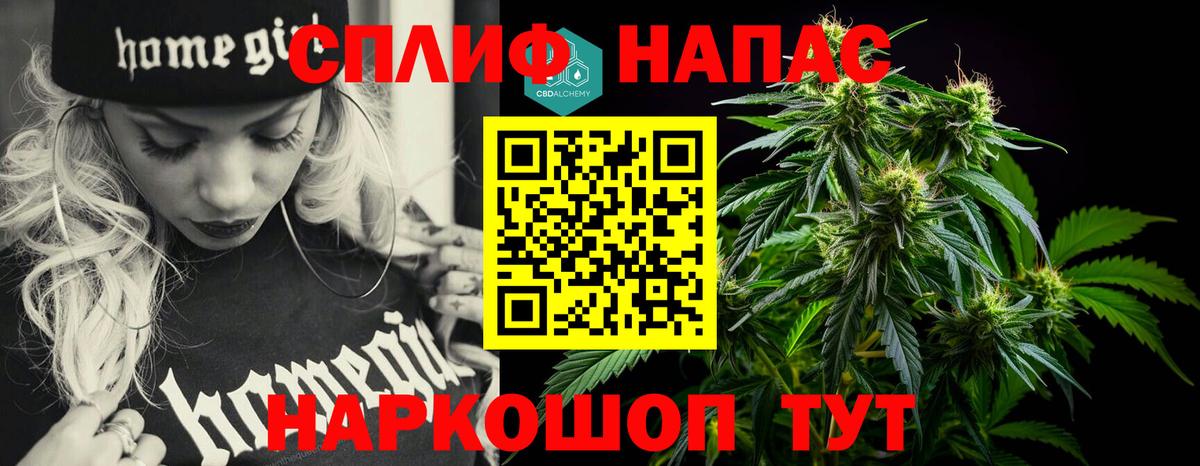 Бошки марихуана гибрид Георгиевск